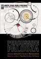 PERCUSSIVE PALOOZA DVD